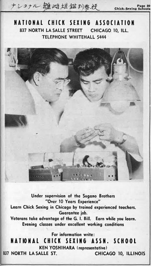 1947-chicago-japanese-american-year-book-ncsa-ad