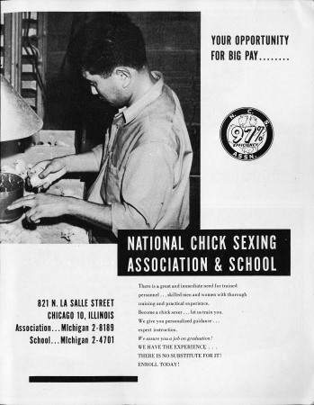 1949-chicago-guidebook-ad