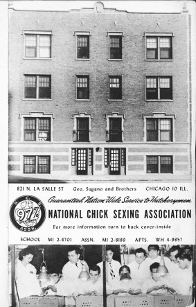 1949 Chicago Japanese American Year Book NCSA Ad w Bldg.jpg