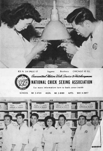1950-chicago-japanese-american-year-book-ncsa-ad