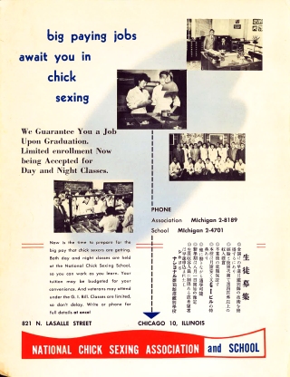1951 Pictorial Guidebook National Chick Ad.jpg